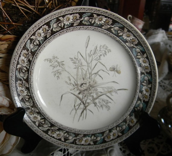 Victorian Aesthetic Movement Brown Turquoise Transferware Plate Spode W T Copeland Birds Nest Butterfly Daisies and Wildflowers