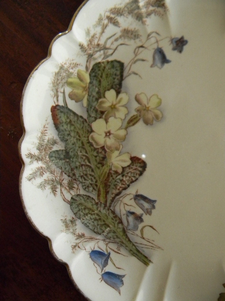 Circa 1887 Antique  English Brown Transferware Aesthetic Movement Floral Tazza Footed Compote George Jones Primroses
