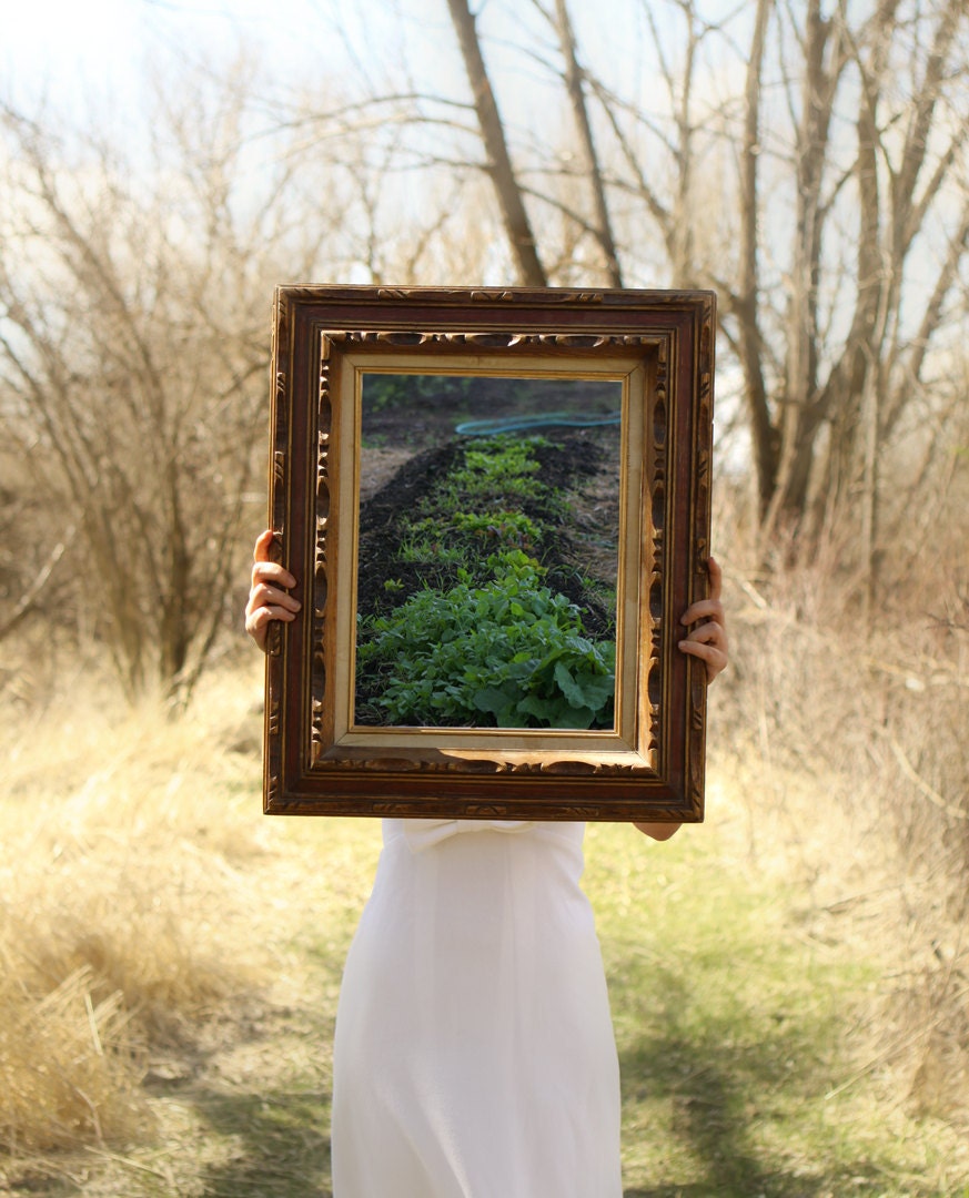 Garden Photography Kitchen  Art of Organic Garden Fine Art Photograph 11x14