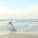 Reserved For Lori Reach For the Sky 20x20 Fine Art Photograph