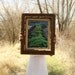 Garden Photography Kitchen Art of Organic Garden Fine Art Photograph 11x14