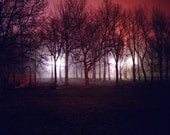 Cobbs Hill, Rochester, NY, 8.5x11 Fine Art Print