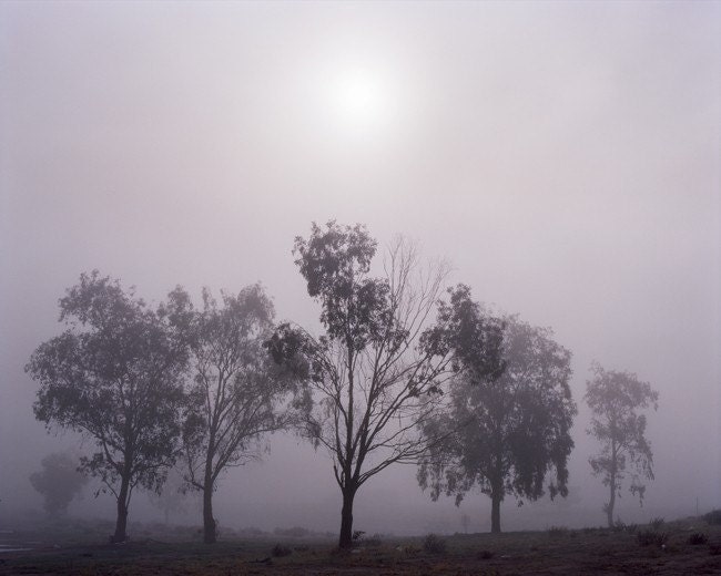 Hwy 58, Bakersfield, CA. 2010, 8.5x11 Fine Art Print