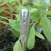 Herb Garden Stakes  Set of 5 seedling markers vintage silver plated silverware by beachhouseliving etsy