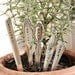 Herb Garden Stakes  Set of 5 seedling markers vintage silver plated silverware by beachhouseliving etsy
