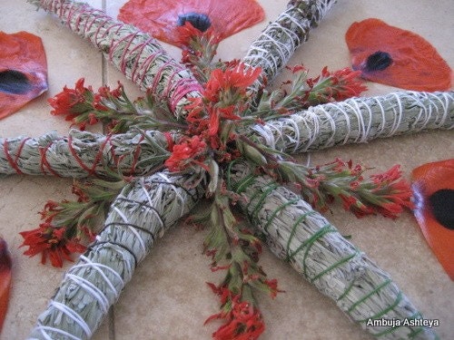 Large Desert Sage Smudge Wand