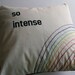 Double rainbow pillow cover