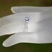 Diamond Engagement Ring - 1.15 carat Round - Pave - Antique Style - 14K white gold - Weddings- Luxury- Brides