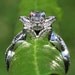 LOVE IN BLOOM - Flower Lotus Rose Diamond Engagement or Right Hand Semi mount Ring Setting - 14k white, yellow or rose gold -fL03