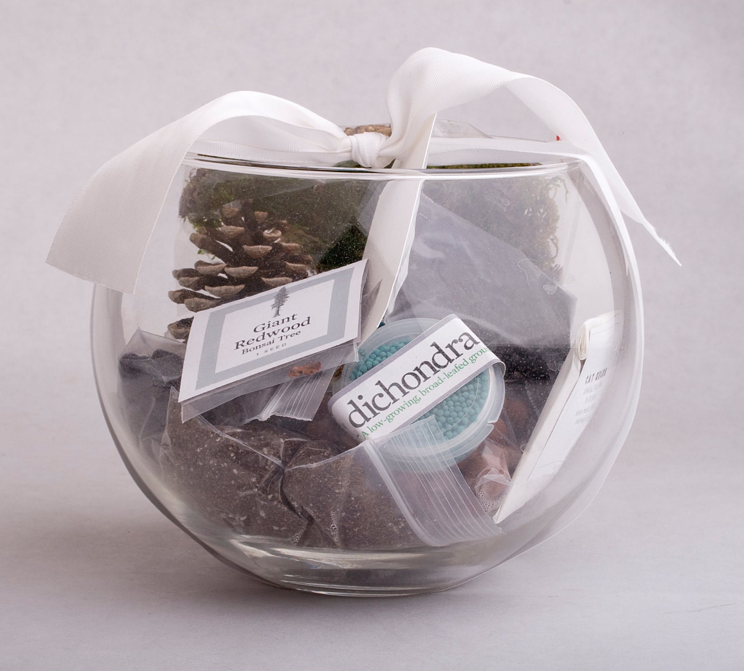 Medium Terrarium Kits - Order of Five