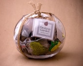 Premium Small Terrarium Kit - Hand-blown bowl