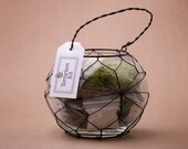 Premium Small Wire Terrarium Kit - Hand-blown bowl