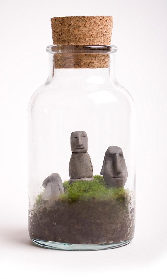 Easter Island miniature terrarium with live moss