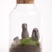 Easter Island miniature terrarium with live moss