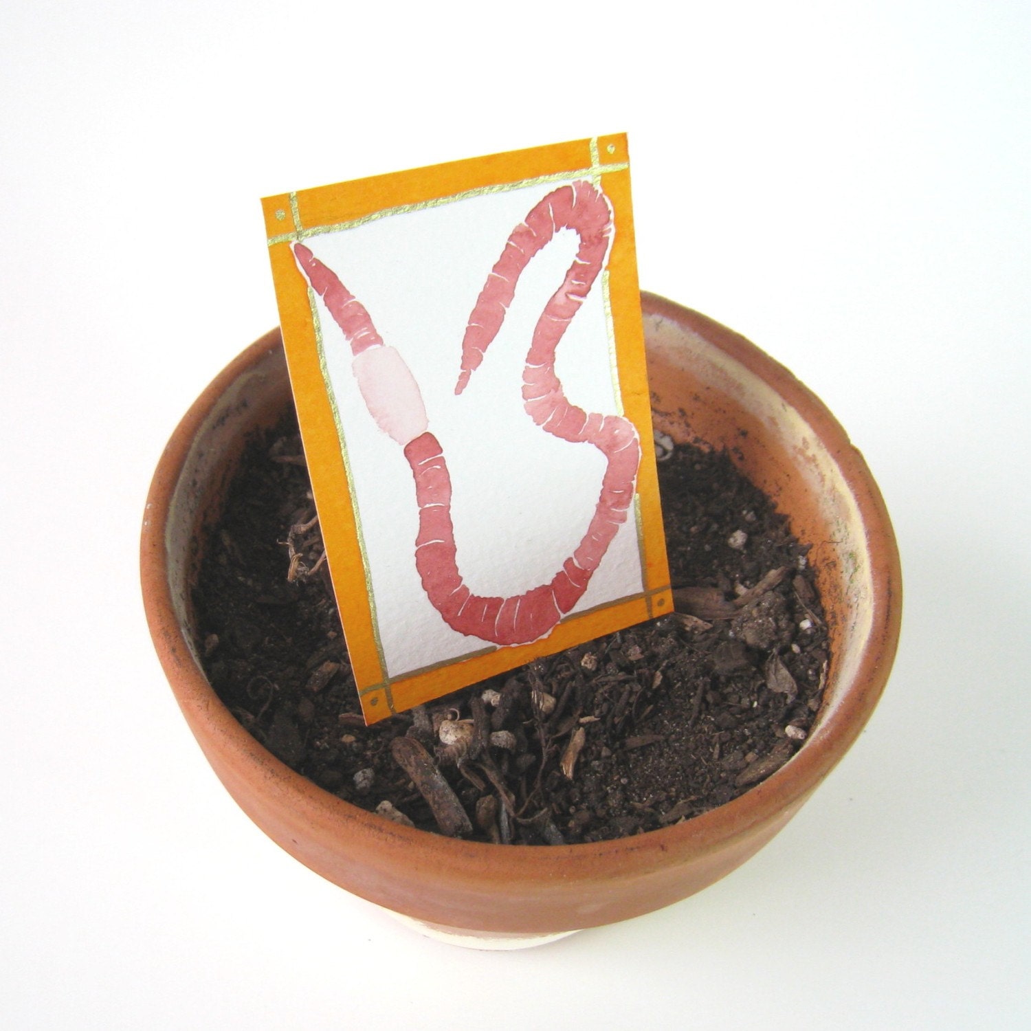 Earthworm Portrait in Orange, original ACEO watercolor