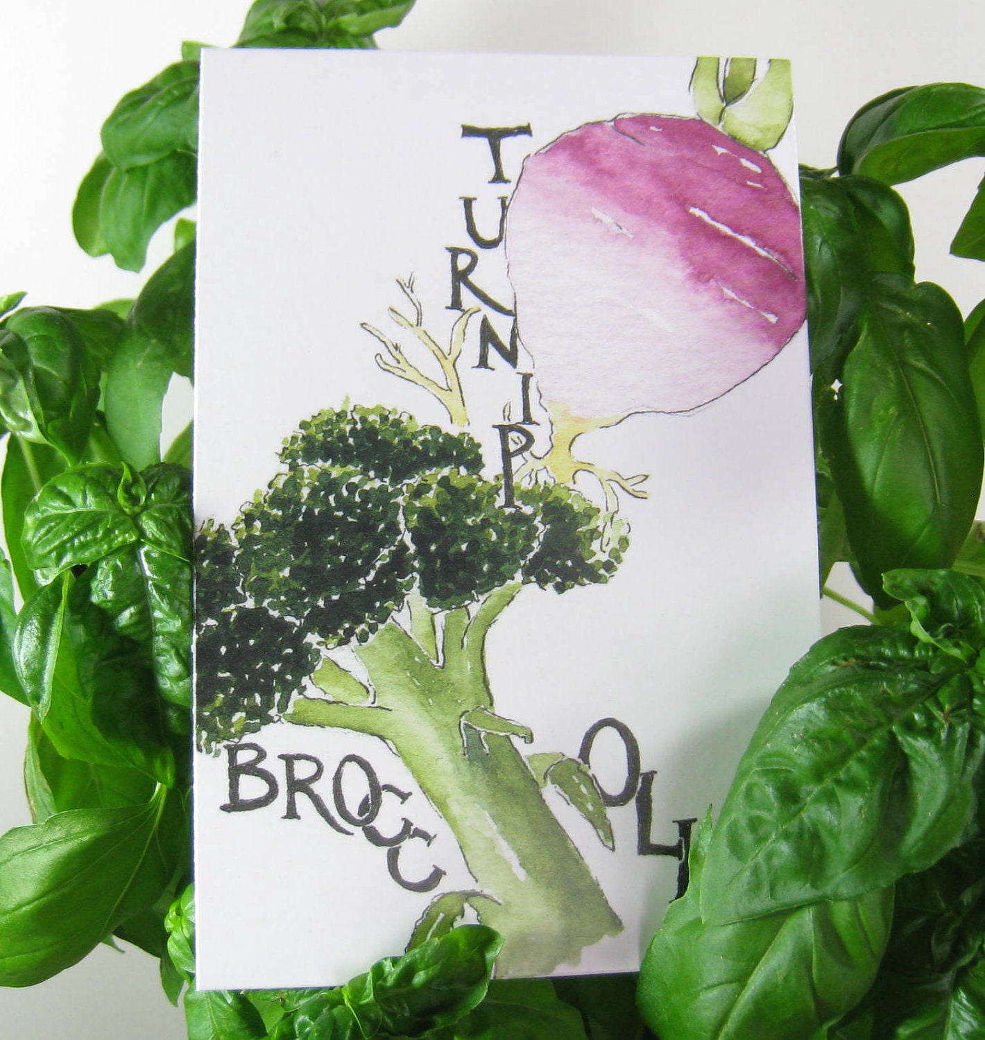 Three Broccoli and Turnip Postcards, gardening quotation on back, 4 in x 6 in, silky smooth cardstock