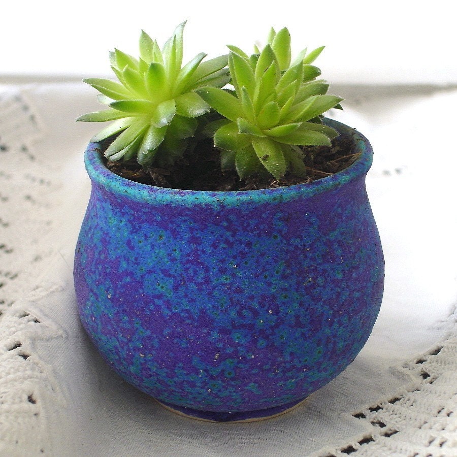 Clay Planter Indoor Winter Gardening Garden Terrarium Plant Pot Velvet Purple Cup Bowl for succulents little plants