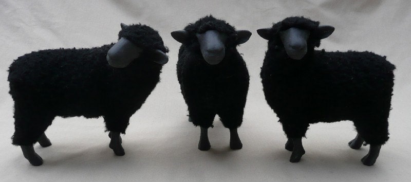 Black Sheep Trio