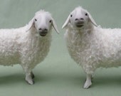 Brillenschaf