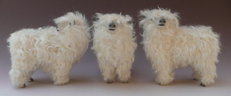 Lincoln Longwool