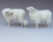 Dutch Family Kempen Heath Sheep Baaing