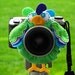 custom PARAKEET Lens Pet for your camera