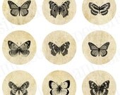 Butterflies Digital Collage Sheet 4x6 Printable Bottlecap Images no.56 - SimpleCleanDesigns