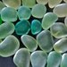 Sea Glass or Beach Glass of HAWAII  SEAFOAM SALE 22 dollars Stunning Shape and Color
