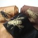 Mens Necktie - Honey Bee Tie - hand screened mens silk necktie - in three tie color choices - Black, Brown and Coppero