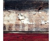 Wood Paint Grasshopper 8x12 - Barn Wood Photograph - Rustic Minimalist Photo - Grasshopper Art Print - Red White Brown