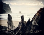 Drift Ashore 8x10 - Nature Photography - Beach Photograph - Ocean Landscape Art Print - Monochromatic Fine Art - Oregon Coast Photo