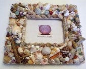 Seashell and Driftwood Mosaic Frame