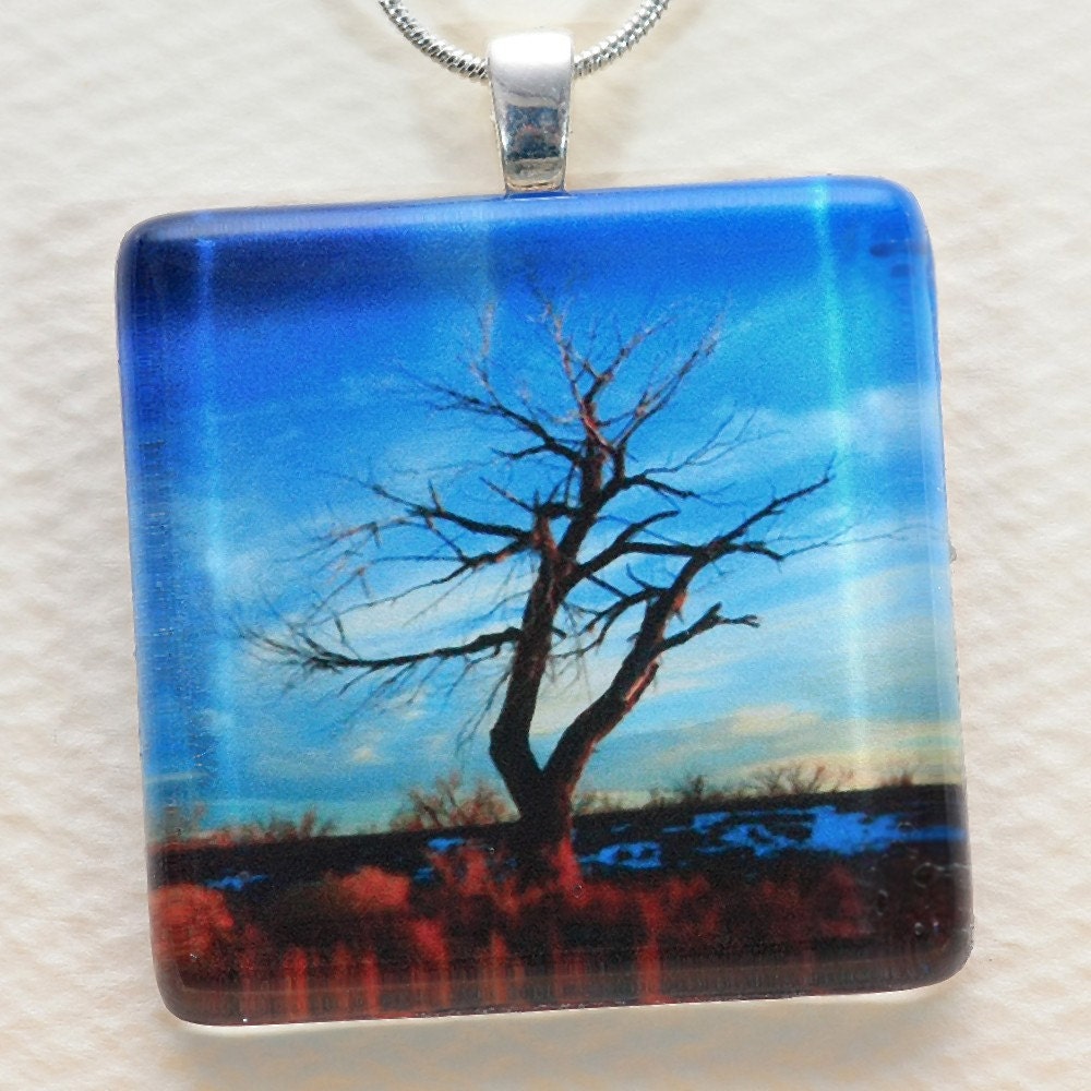 Original Photo Art Glass Tile Pendant , "Holbrook Tree",  with Adjustable Silver Snake Chain
