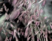 Abstract Botanical Photograph Print, 6 x 9 Watercolor Style Grass in Pink, Digital Mixed Media Painting