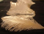 iridescent white SHINING FEATHERS - set of 25