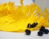 YELLOW Feathers - PAPER handcuted - set of 17