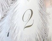 Wedding table numbers FEATHERs for flower arrangement