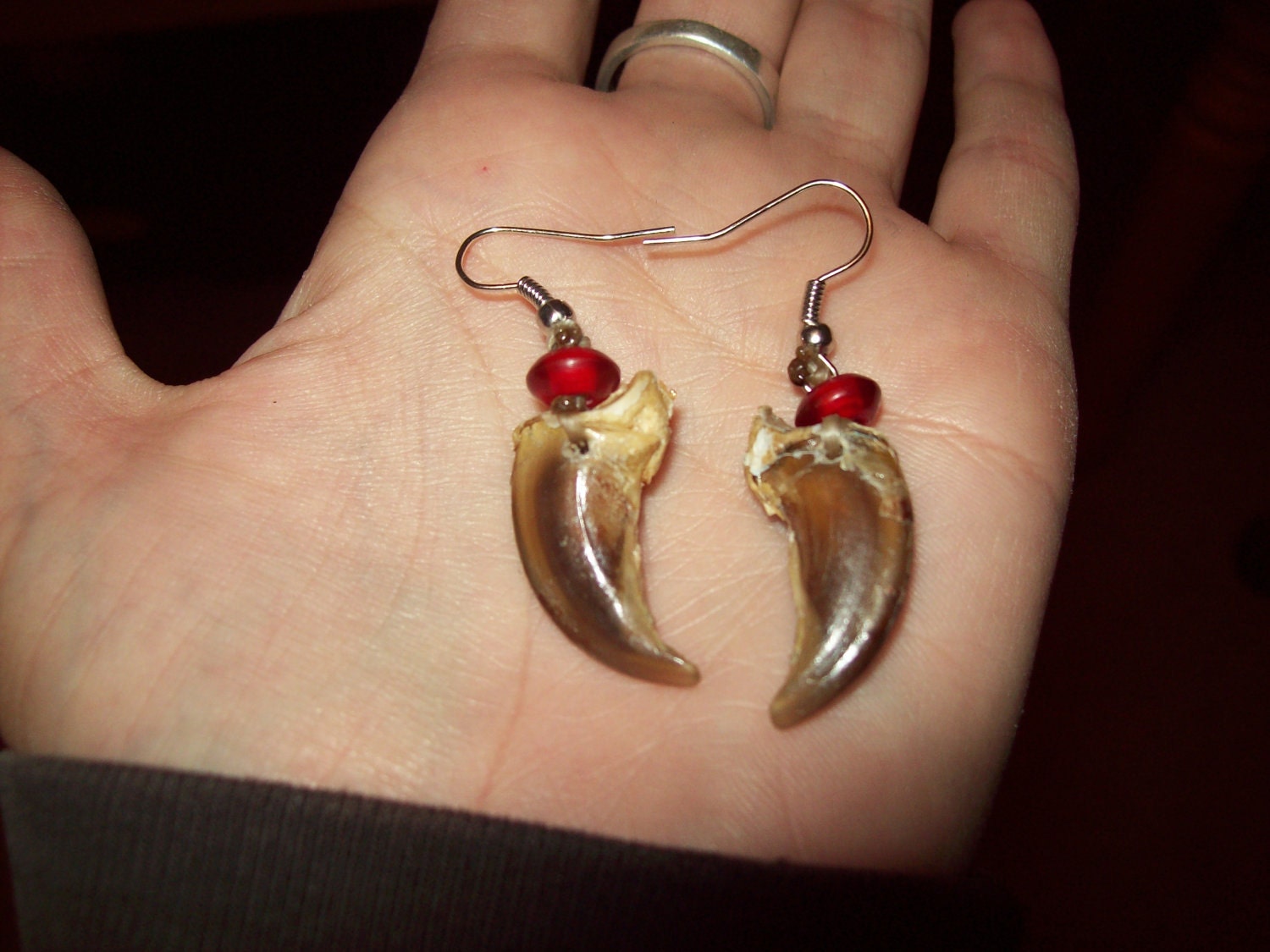 Real wolf claw earrings native american made