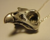 Silver falcon skull pendant in Sterling on a Sterling silver chain bird skull necklace designed cast and finished in NYC