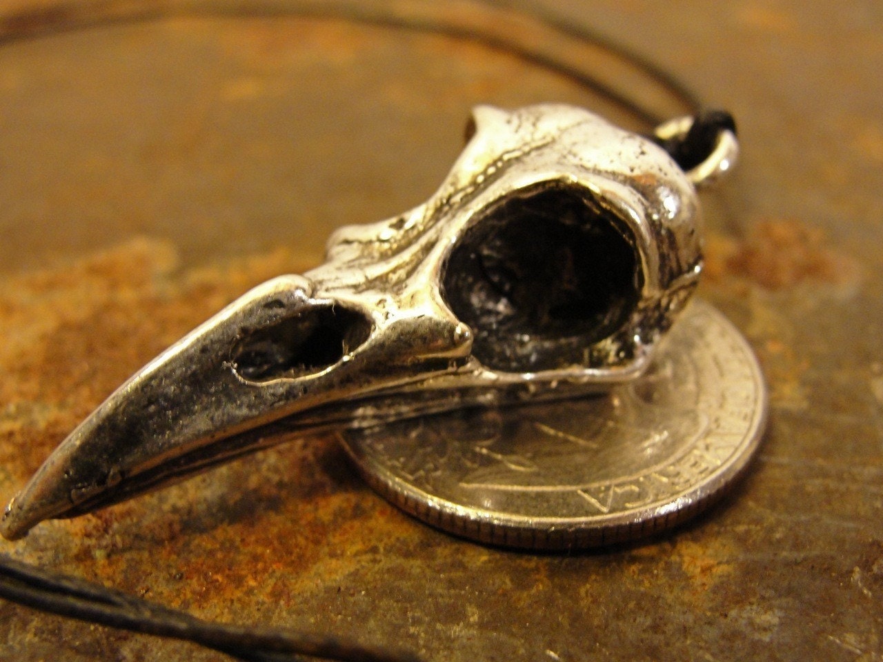 Raven Skull Necklace Antique Silver Finish Metal  Bird Skull Necklace on adjustable cord made in NYC Blue Bayer Design Bird Skull Jewelry