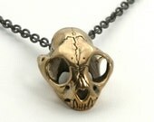 Small Cat Skull Necklace on sale  in Bronze  Bobcat Wildcat Skull on choice of chains