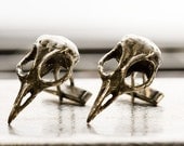 Silver bird skull cuff links