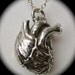 Anatomical heart necklace  in .925 Sterling silver on a sterling silver chain, Made in NYC In stock ready to ship