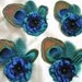 6 Elegant Peacock feather hair clips with charming satin flower. perfect gift for Bridesmaid.