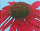 Coneflower Mini Painting original acrylic in magenta violet blue brown on 6x6 Canvas