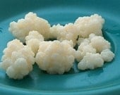 Live Milk Kefir Grains, Organic Milk, 19 Grams