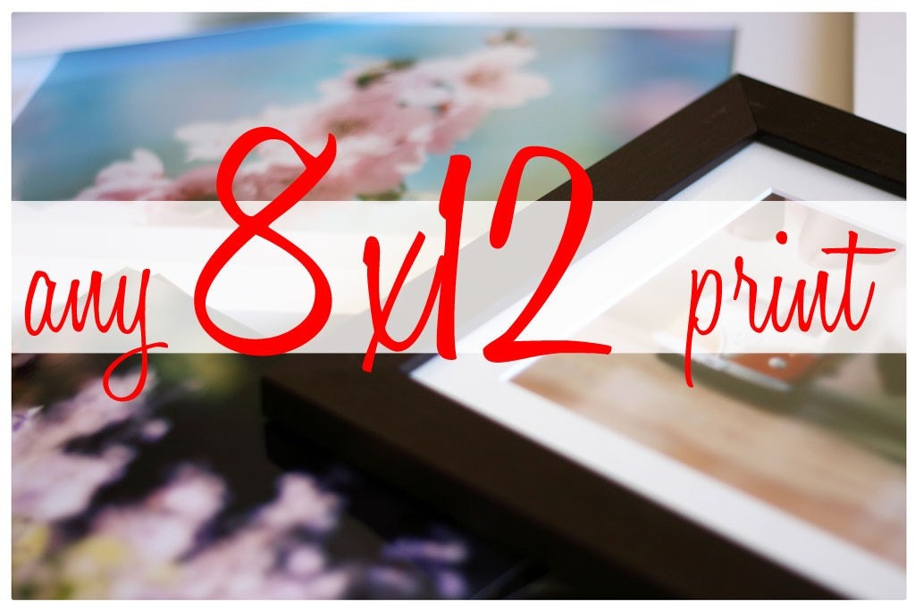your choice - 8x12 photo print