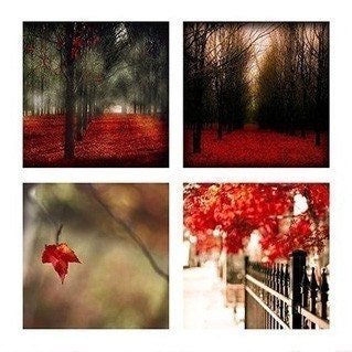 Special - Autumn red- Four 5x5 fine art Autumn photography prints