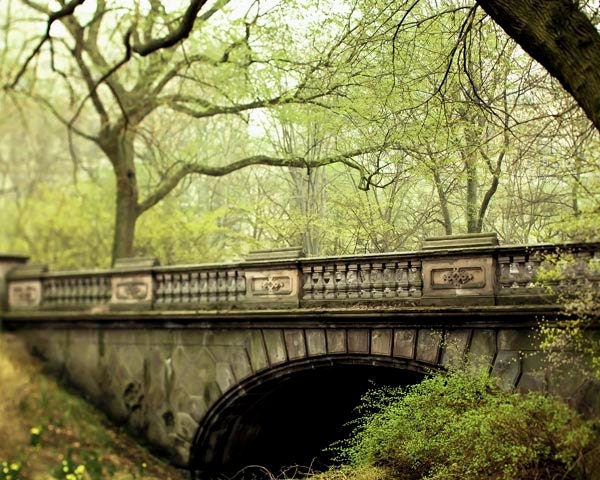 Central Park in Spring - Emerald Green - New York Photography - Glade Arch - trees - olive leaf moss nature 8x10 print