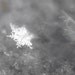 Snowflake photograph, winter, real snowflake, white, gray, silver, fine art photography